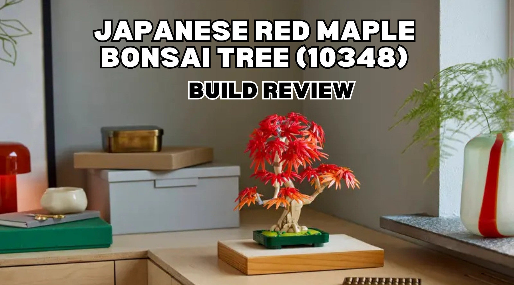 Build Review of LEGO Botanicals Japanese Red Maple Bonsai Tree (10348)