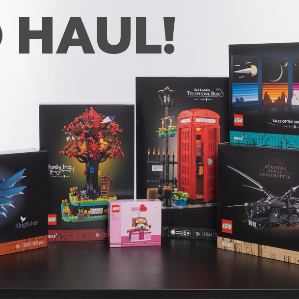 iDisplayit LEGO Haul - February 2024