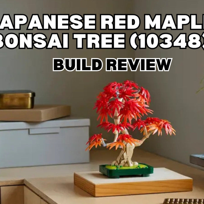 Build Review of LEGO Botanicals Japanese Red Maple Bonsai Tree (10348)