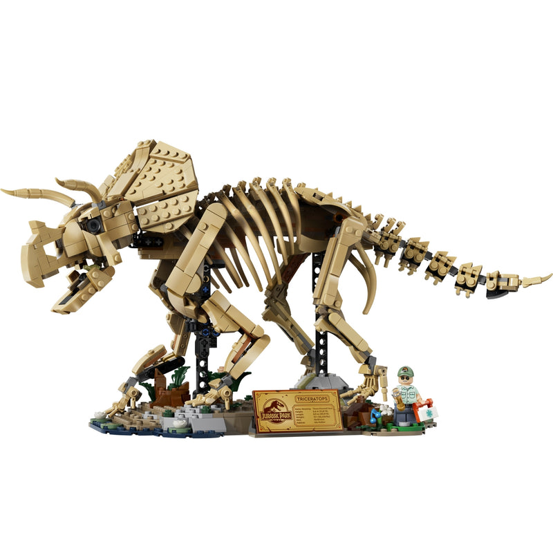 Dinosaur Fossils: Triceratops Display Case for LEGO 77985 (Coming Soon)