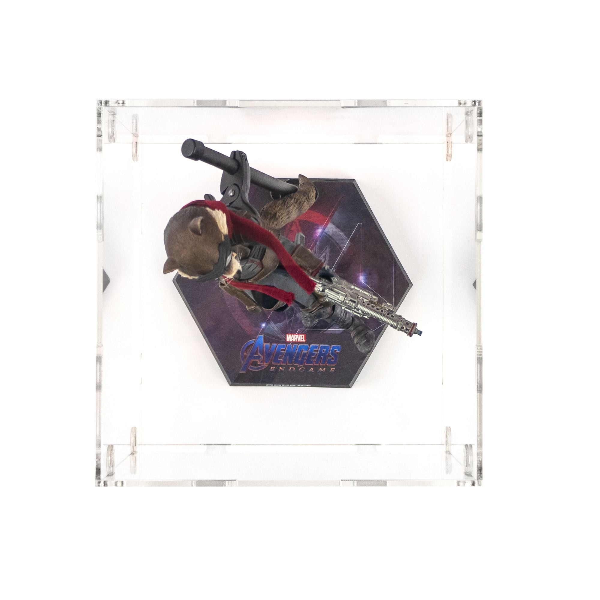 Display Case for Hot Toys Rocket Marvel Endgame | iDisplayit USA