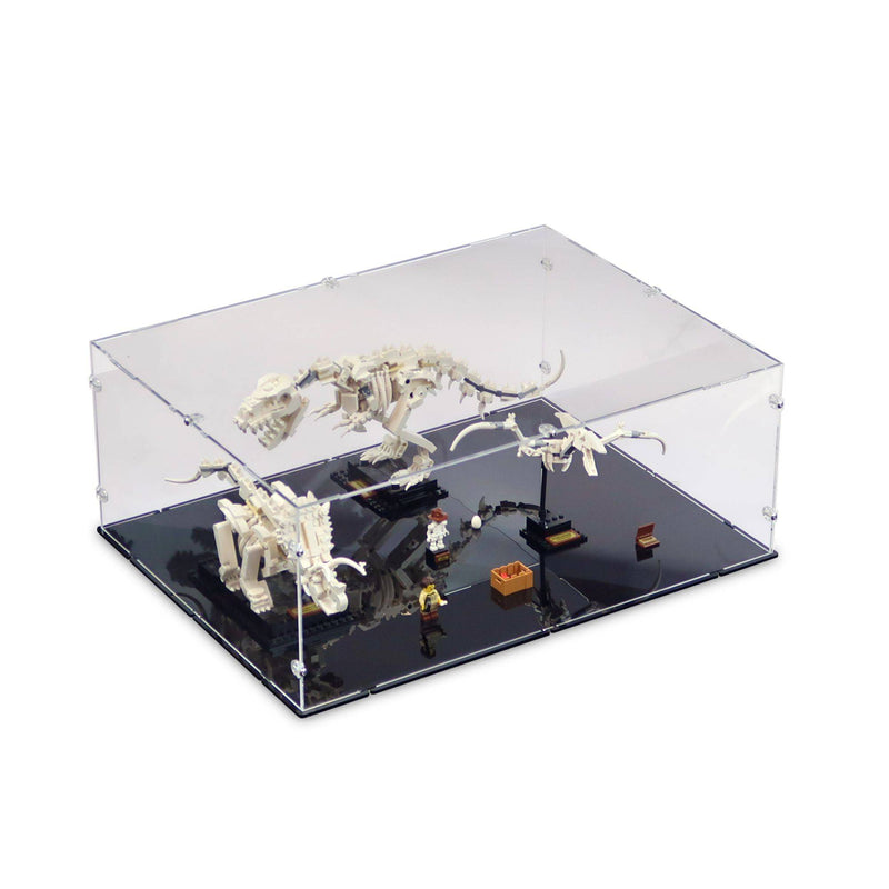 Dinosaur Fossils Display Case for LEGO 21320