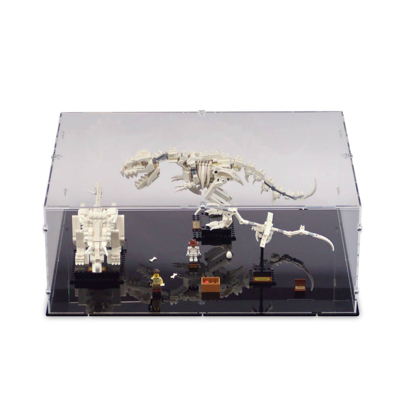 Dinosaur Fossils Display Case for LEGO 21320