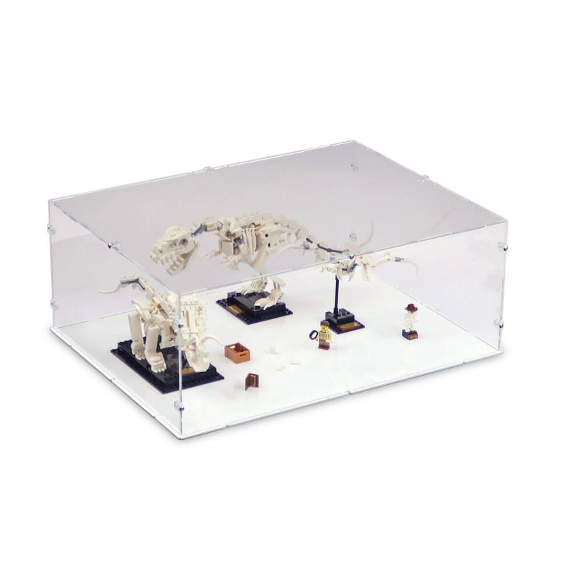 Dinosaur Fossils Display Case for LEGO 21320