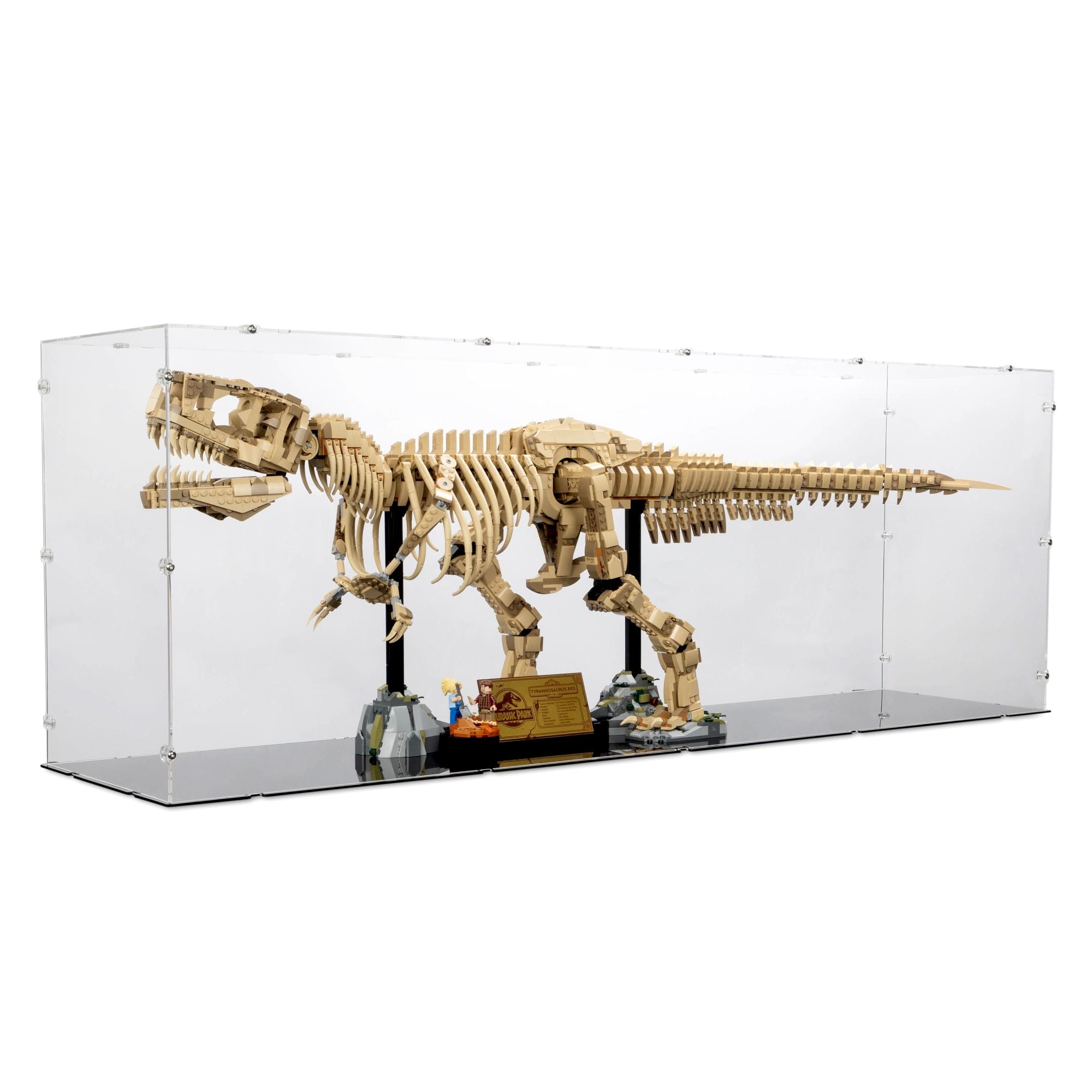 LEGO Dinosaur Fossils: Tyrannosaurus Rex Display Case | iDisplayit