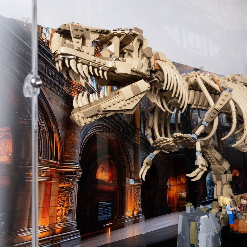 Dinosaur Fossils: Tyrannosaurus Rex Display Case for LEGO 76968