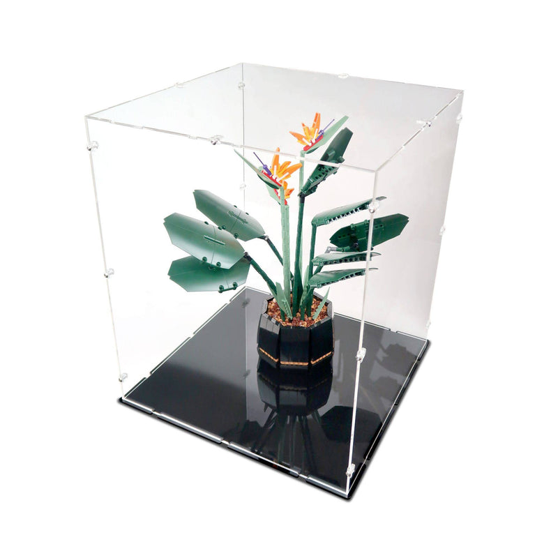 Bird of Paradise Display Case for LEGO 10289