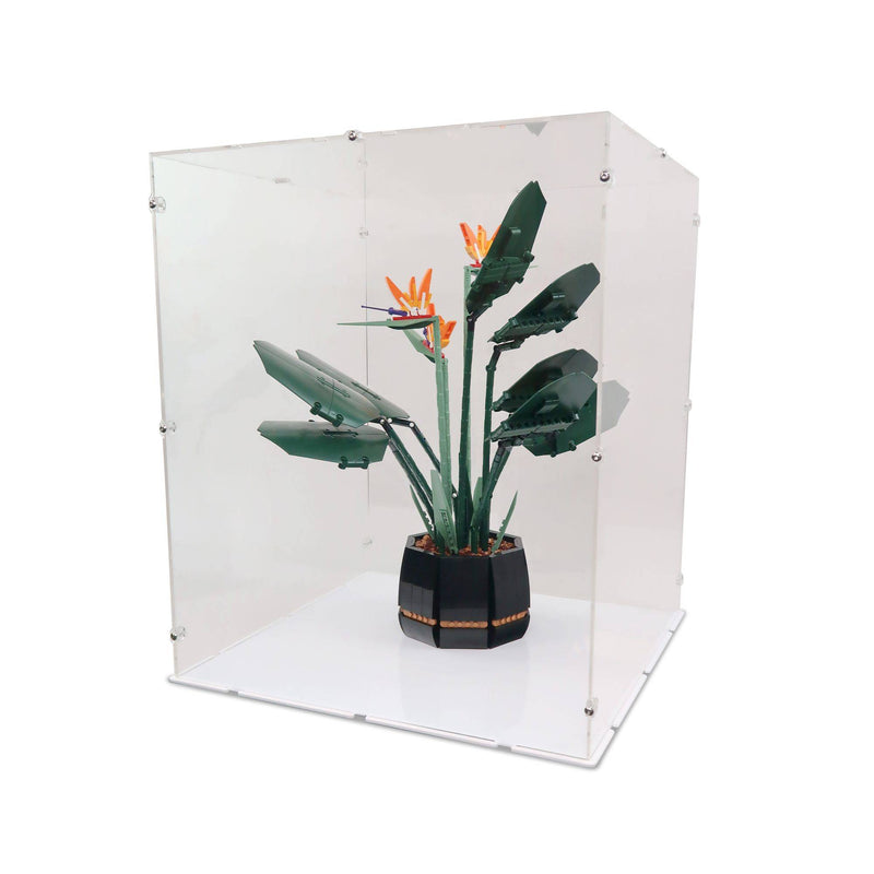 Bird of Paradise Display Case for LEGO 10289