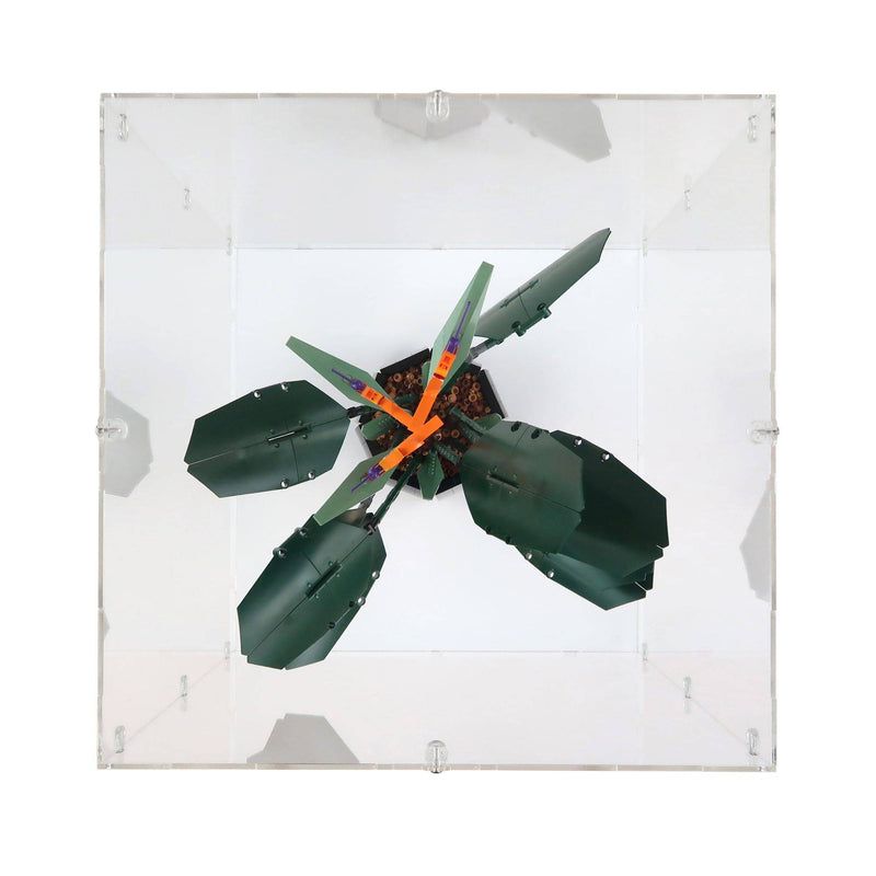39 x 39 x 47cm Display Case