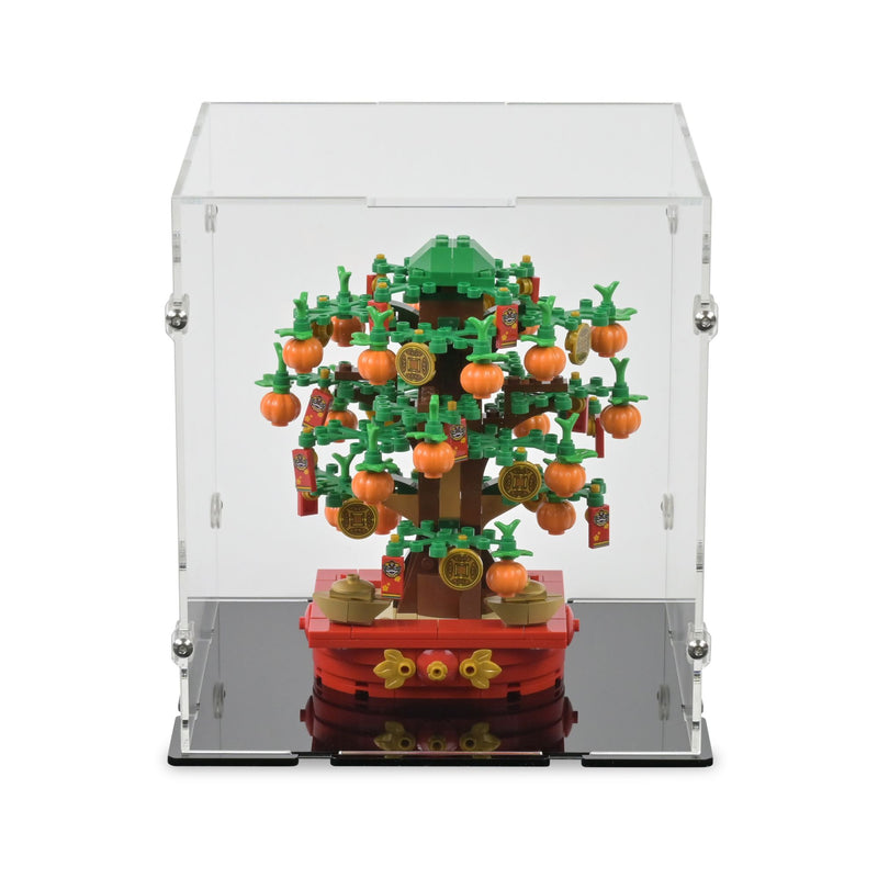 Money Tree Display Case for LEGO 40648