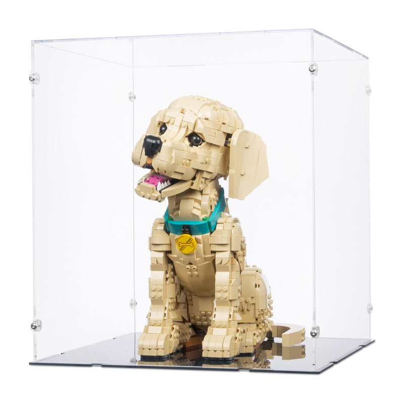 Golden Retriever Puppy Display Case for LEGO 11384