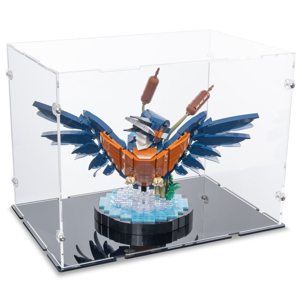 Display Case for LEGO Kingfisher Bird | iDisplayit — iDisplayit.com