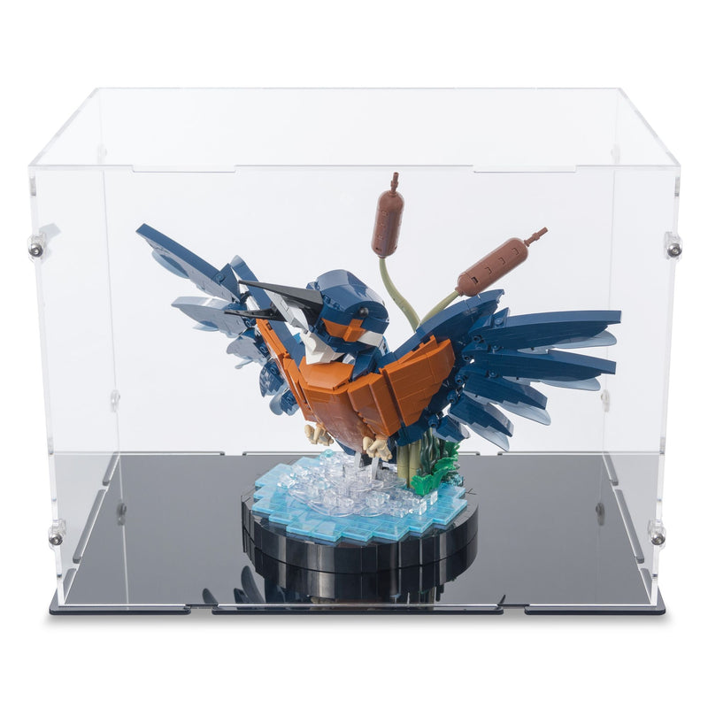 Kingfisher Bird Display Case for LEGO 10331