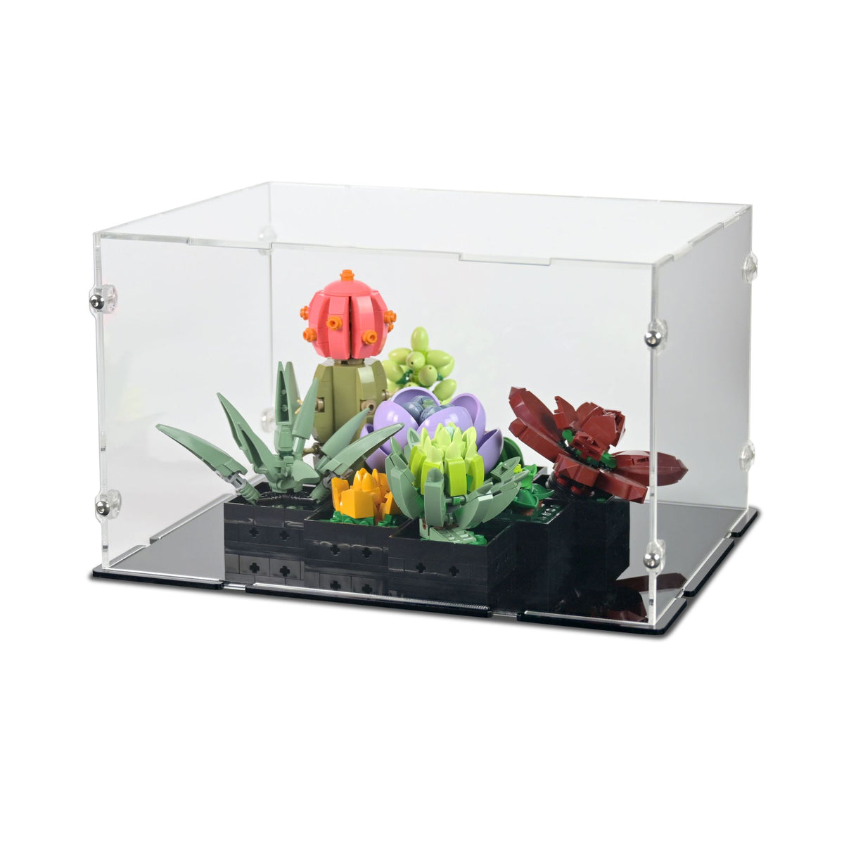 Acrylic Display Case for LEGO Succulents | iDisplayit — iDisplayit.com