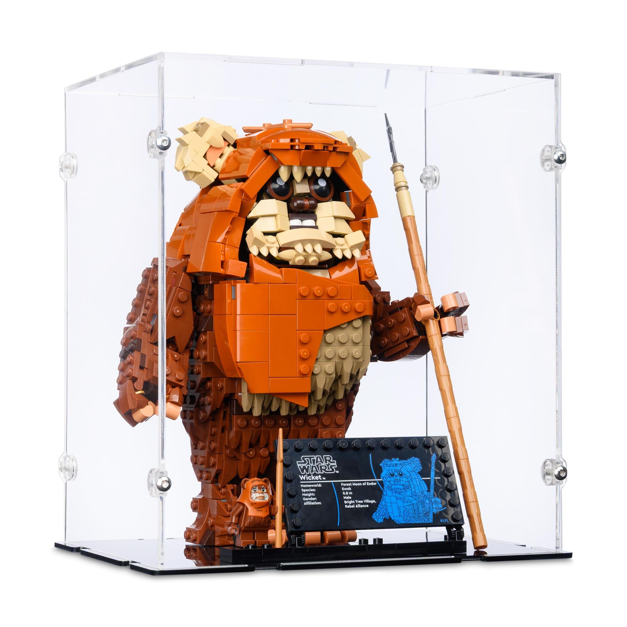 Display Case for LEGO 75430 Wicket the Ewok | iDisplayit USA