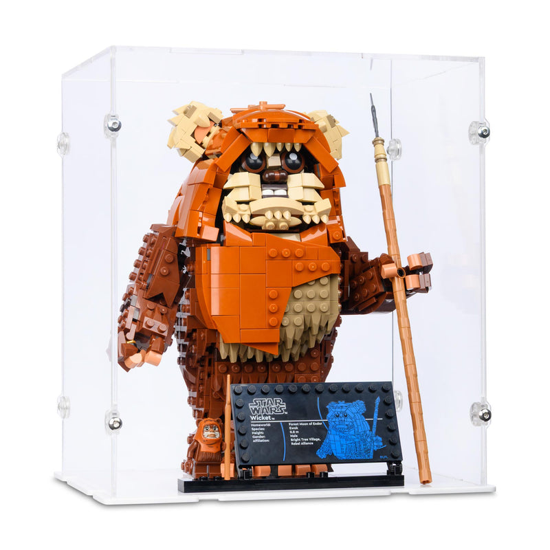 21 x 15 x 24cm Display Case